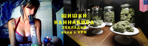 ECSTASY Богданович