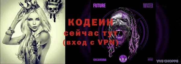 МДПВ Богородск
