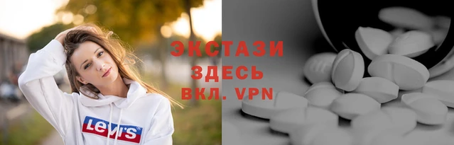 ECSTASY Богданович