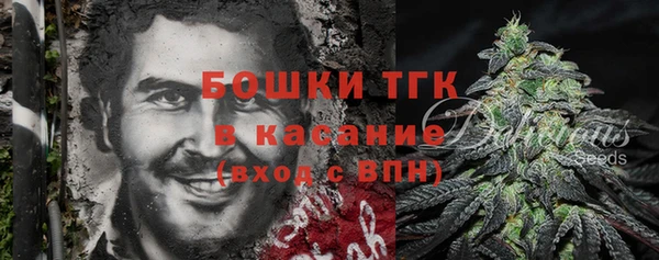 ECSTASY Богданович